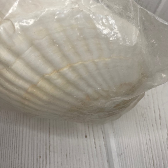 Vintage Natural Shell Serving Dishes Ovenproof & Shell Picks Set of 4 Never Used - Picture 8 of 11